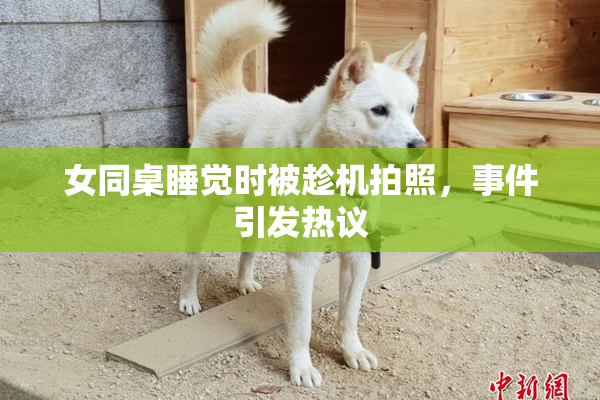 女同桌睡觉时被趁机拍照，事件引发热议