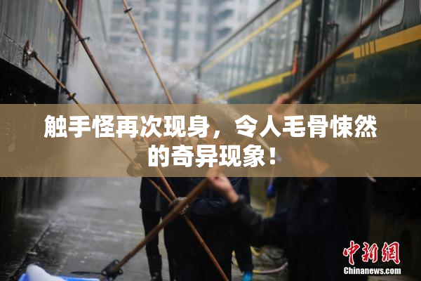 触手怪再次现身，令人毛骨悚然的奇异现象！