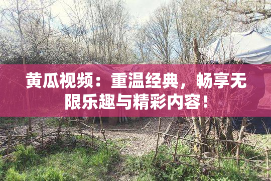 黄瓜视频：重温经典，畅享无限乐趣与精彩内容！