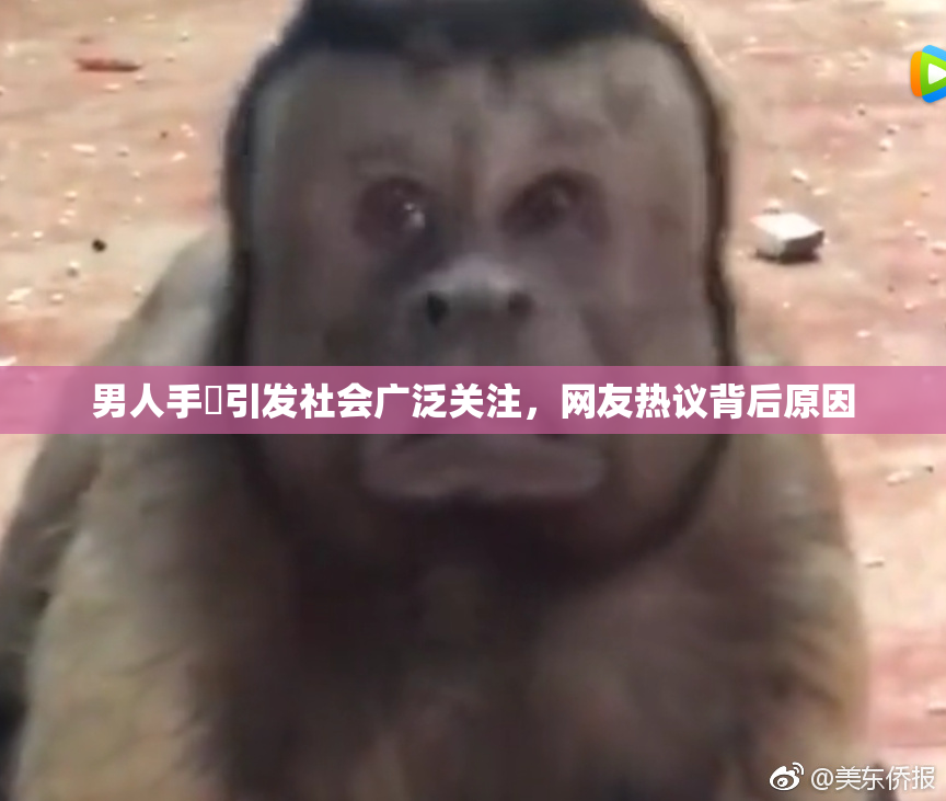 男人手婬引发社会广泛关注，网友热议背后原因