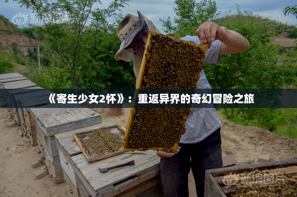 《寄生少女2怀》：重返异界的奇幻冒险之旅
