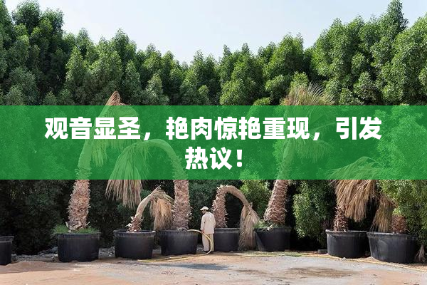 观音显圣，艳肉惊艳重现，引发热议！