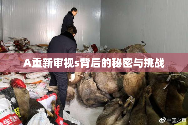 A重新审视s背后的秘密与挑战