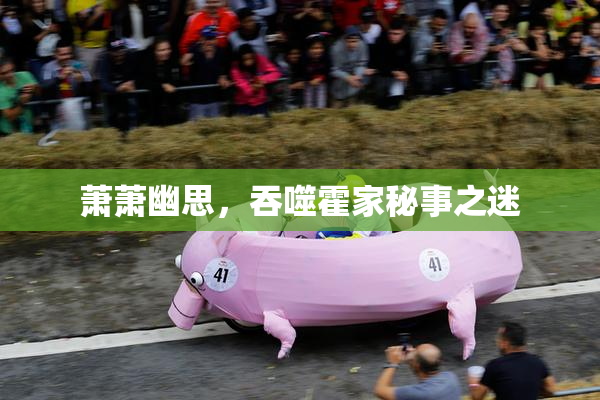 萧萧幽思，吞噬霍家秘事之迷