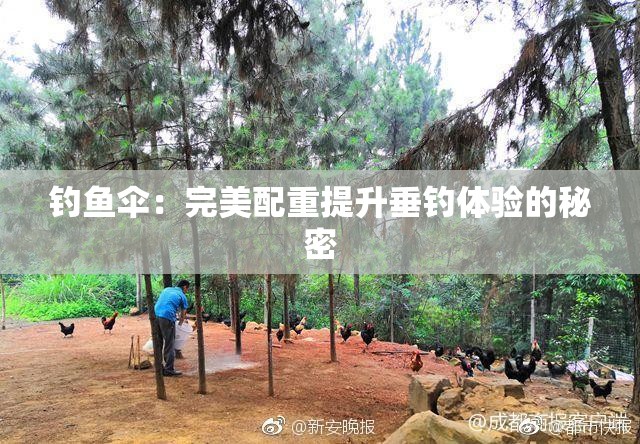 钓鱼伞：完美配重提升垂钓体验的秘密