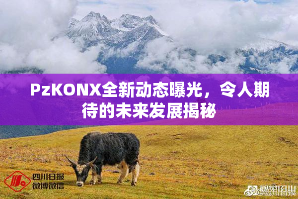 PzKONX全新动态曝光，令人期待的未来发展揭秘