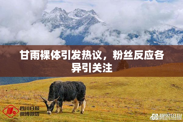 甘雨裸体引发热议，粉丝反应各异引关注