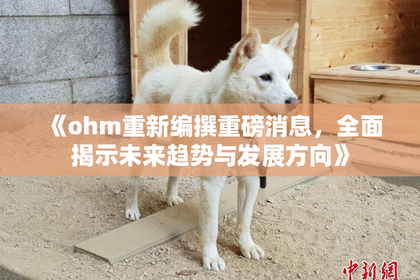 《ohm重新编撰重磅消息，全面揭示未来趋势与发展方向》