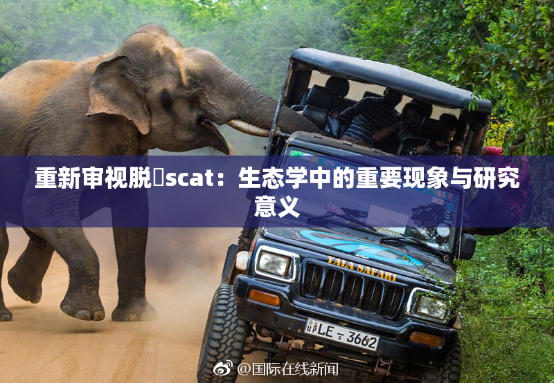 重新审视脱糞scat：生态学中的重要现象与研究意义