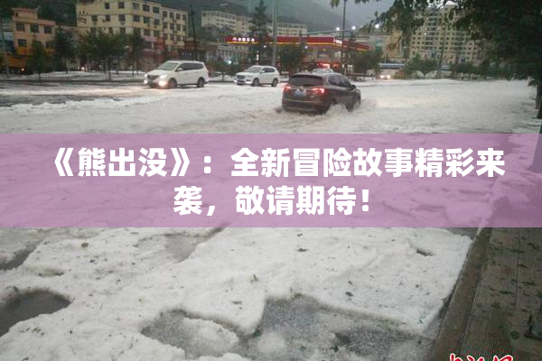 《熊出没》：全新冒险故事精彩来袭，敬请期待！