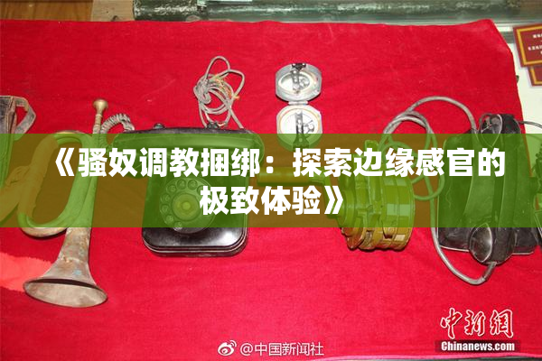 《骚奴调教捆绑：探索边缘感官的极致体验》