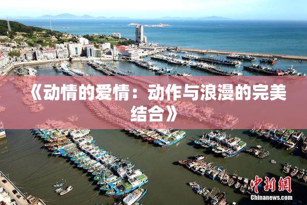 《动情的爱情：动作与浪漫的完美结合》