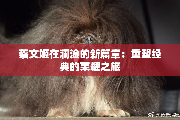 蔡文姬在澜淦的新篇章：重塑经典的荣耀之旅
