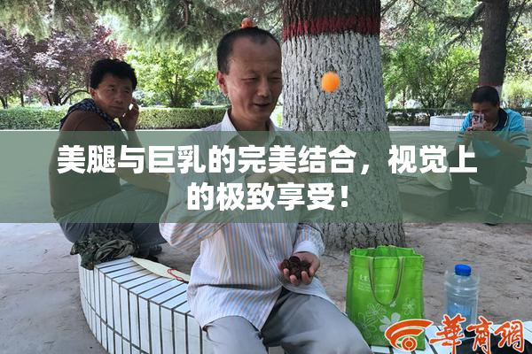 美腿与巨乳的完美结合，视觉上的极致享受！