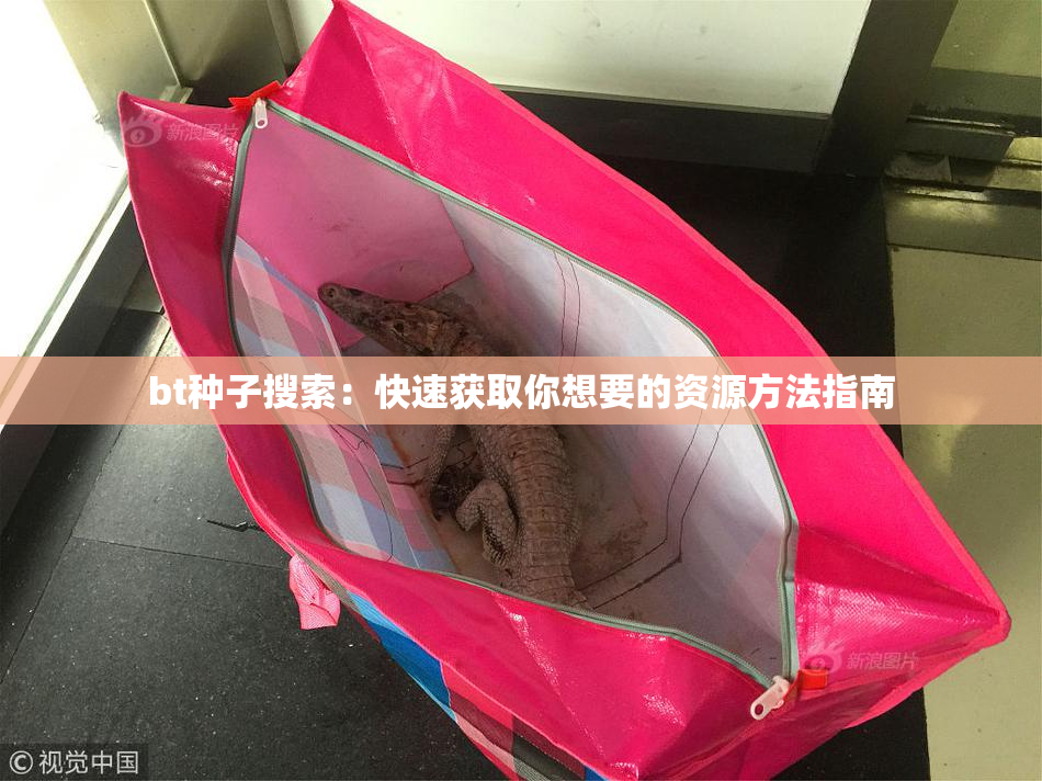 bt种子搜索：快速获取你想要的资源方法指南