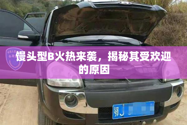 馒头型B火热来袭，揭秘其受欢迎的原因