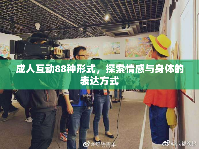 成人互动88种形式，探索情感与身体的表达方式