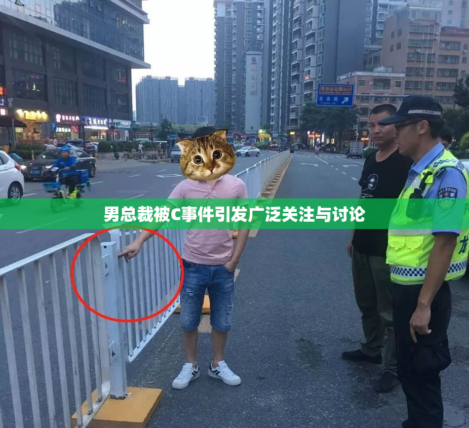 男总裁被C事件引发广泛关注与讨论
