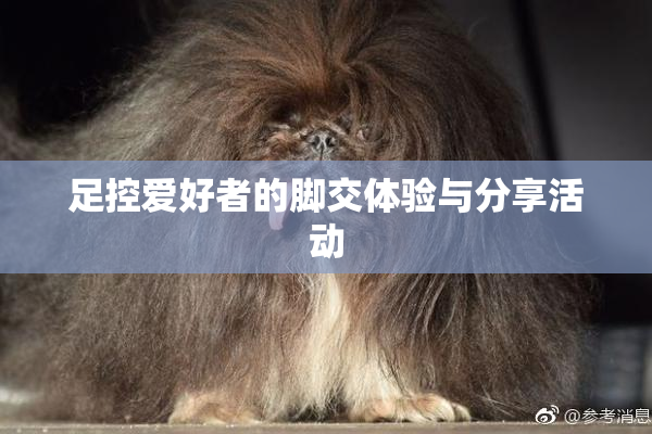 足控爱好者的脚交体验与分享活动