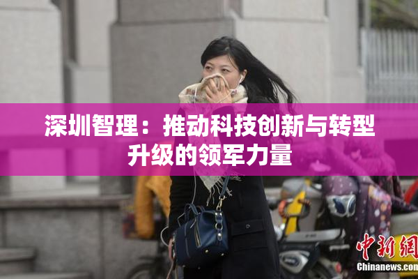深圳智理：推动科技创新与转型升级的领军力量