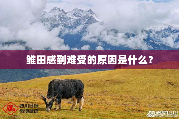 雏田感到难受的原因是什么？