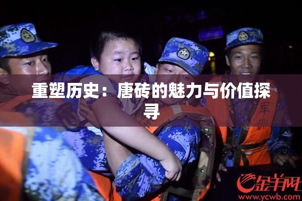 重塑历史：唐砖的魅力与价值探寻