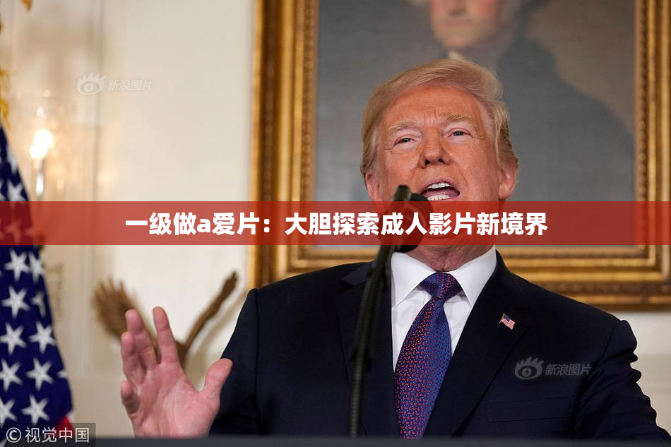 一级做a爱片：大胆探索成人影片新境界