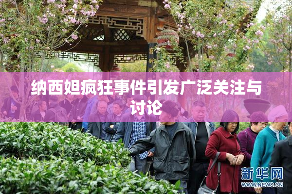纳西妲疯狂事件引发广泛关注与讨论