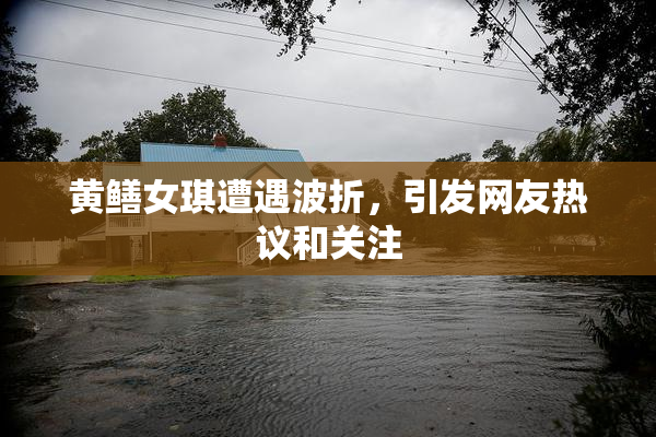 黄鳝女琪遭遇波折，引发网友热议和关注
