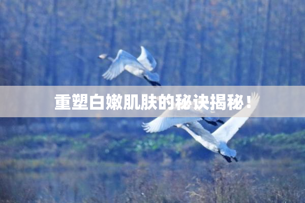 重塑白嫩肌肤的秘诀揭秘！