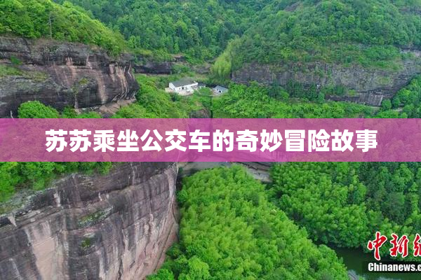 苏苏乘坐公交车的奇妙冒险故事