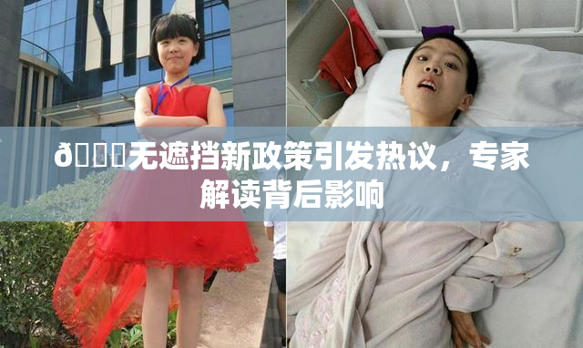 🔞无遮挡新政策引发热议，专家解读背后影响