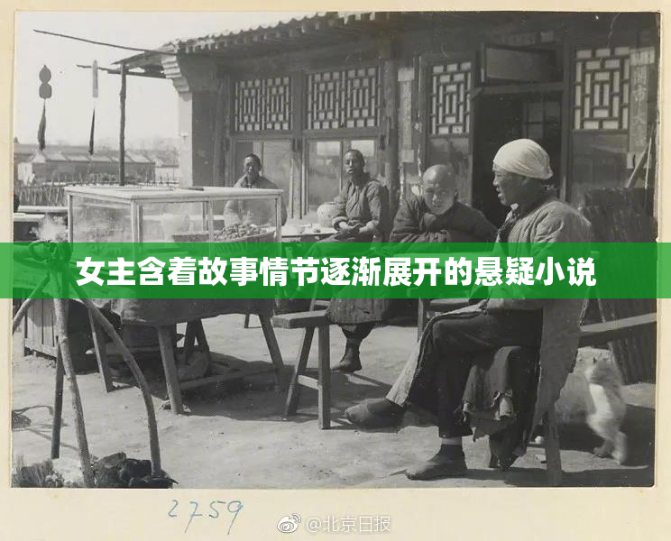 女主含着故事情节逐渐展开的悬疑小说