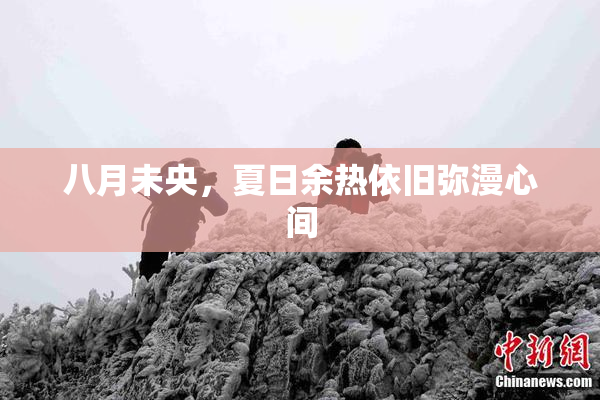 八月未央，夏日余热依旧弥漫心间