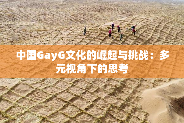 中国GayG文化的崛起与挑战：多元视角下的思考