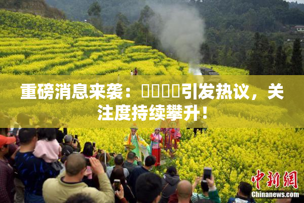 重磅消息来袭：馃悢馃悢引发热议，关注度持续攀升！