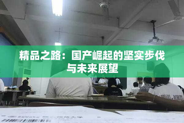 精品之路：国产崛起的坚实步伐与未来展望