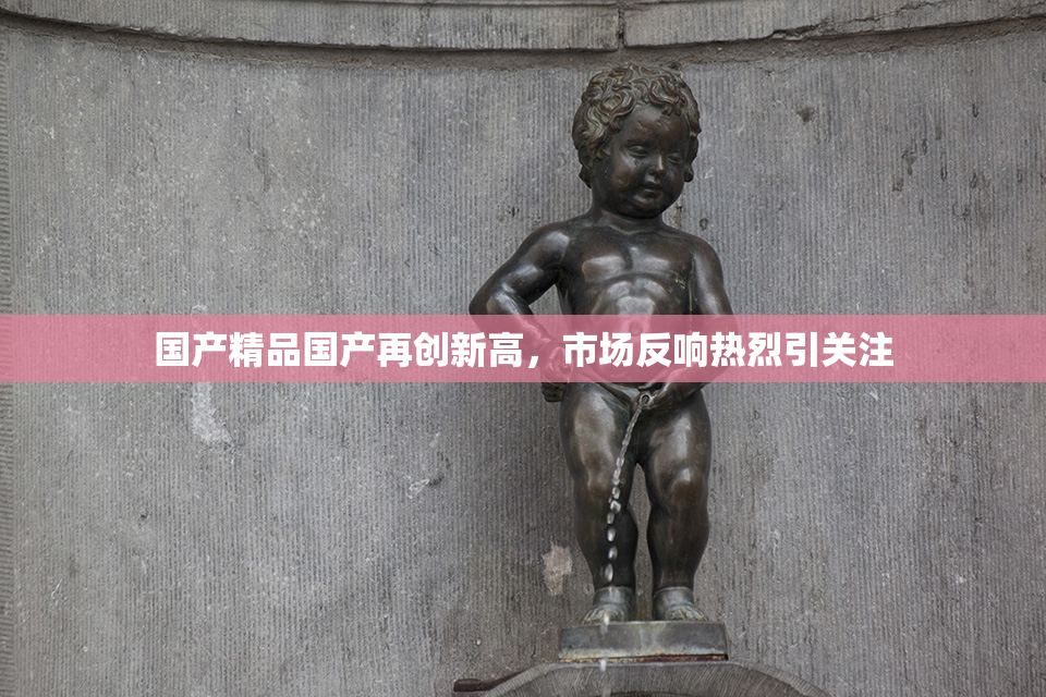 国产精品国产再创新高，市场反响热烈引关注