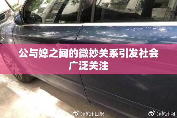 公与媳之间的微妙关系引发社会广泛关注