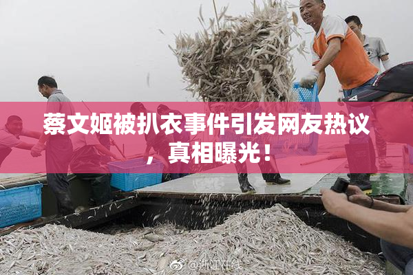 蔡文姬被扒衣事件引发网友热议，真相曝光！