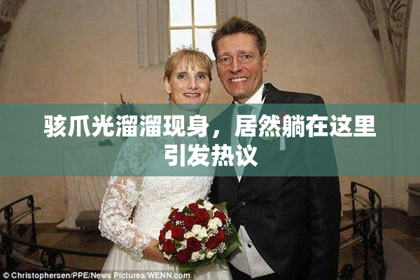 骇爪光溜溜现身，居然躺在这里引发热议