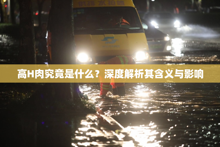 高H肉究竟是什么？深度解析其含义与影响