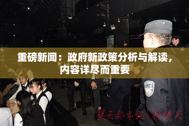 重磅新闻：政府新政策分析与解读，内容详尽而重要