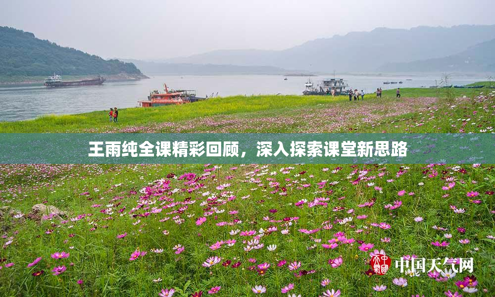 王雨纯全课精彩回顾，深入探索课堂新思路