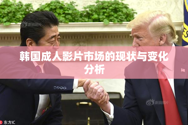 韩国成人影片市场的现状与变化分析