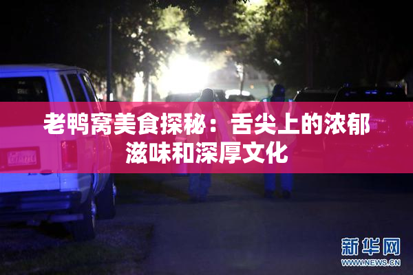 老鸭窝美食探秘：舌尖上的浓郁滋味和深厚文化