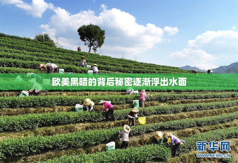 欧美黑暗的背后秘密逐渐浮出水面
