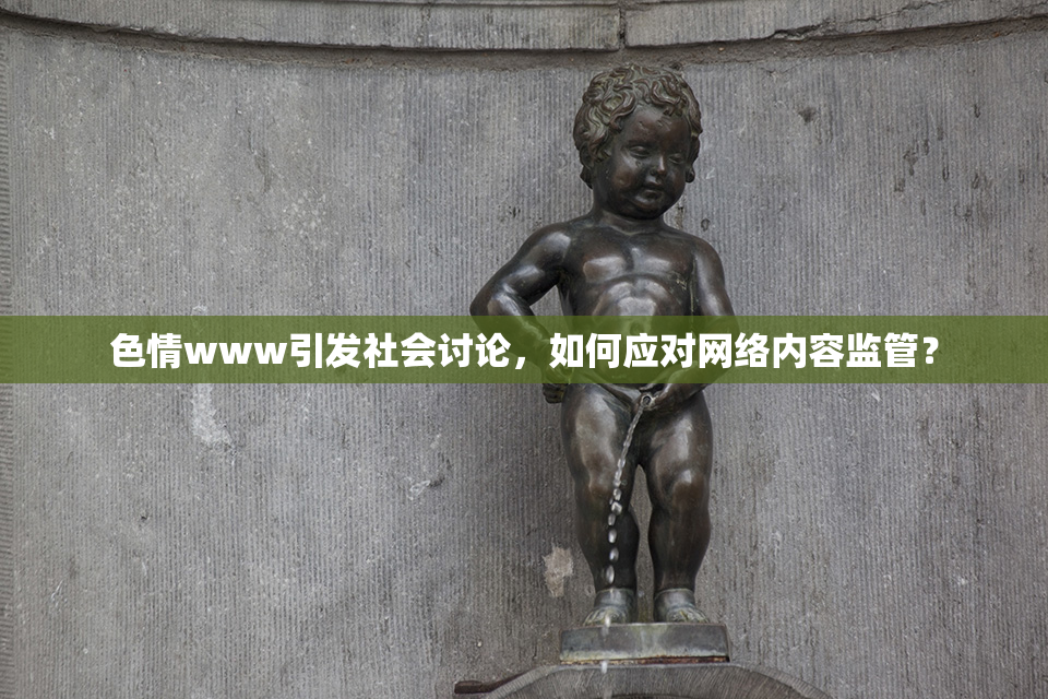 色情www引发社会讨论，如何应对网络内容监管？