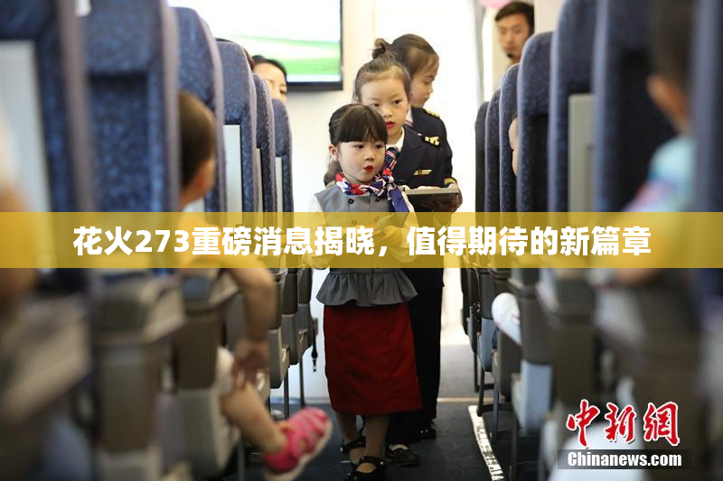 花火273重磅消息揭晓，值得期待的新篇章