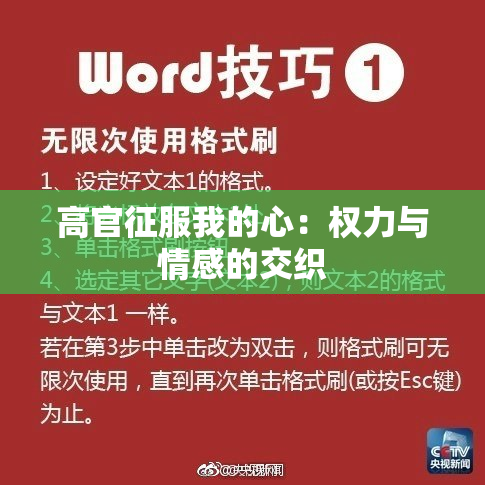 高官征服我的心：权力与情感的交织